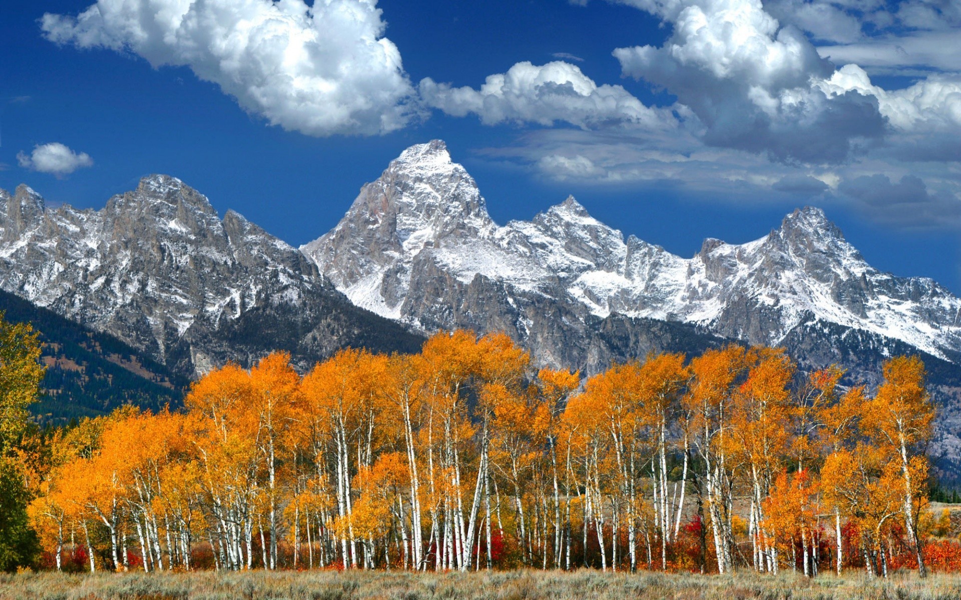 berge berge schnee holz landschaft landschaftlich herbst baum im freien tageslicht berggipfel natur wild jahreszeit majestätisch