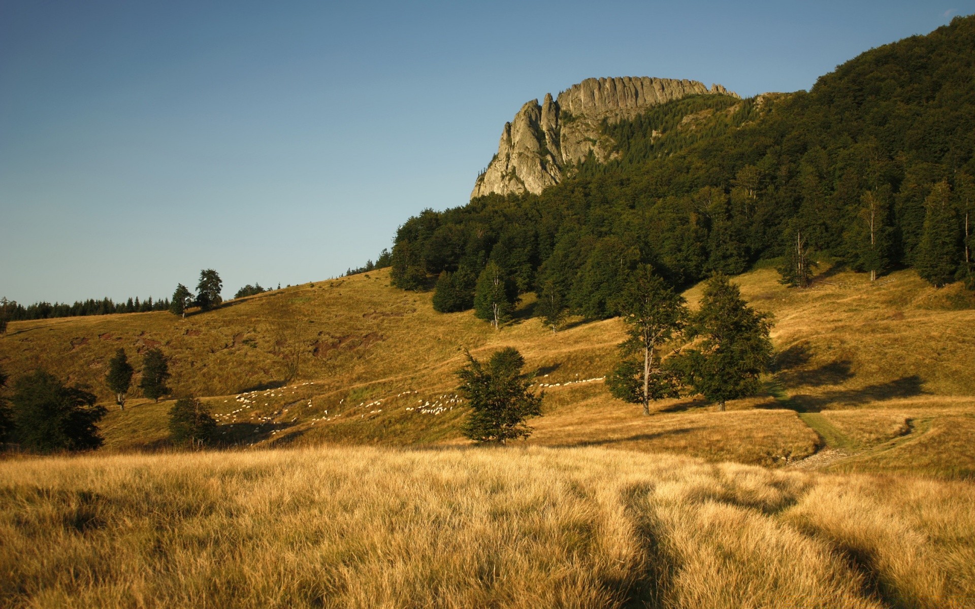 mountains landscape travel mountain sky hill outdoors scenic tree nature daylight grassland rock desert valley sunset grass