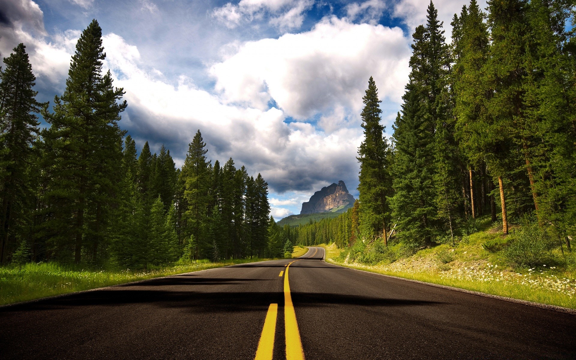 berge straße holz im freien baum natur reisen berge autobahn landschaft asphalt führung landschaftlich nadelholz tageslicht schnee evergreen