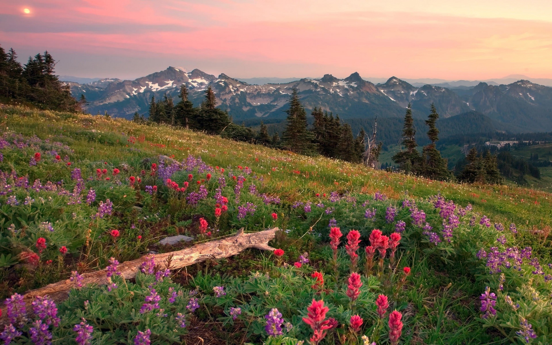 berge natur berge landschaft im freien reisen landschaftlich himmel sommer heuhaufen blume holz gras des ländlichen baum spektakel berggipfel