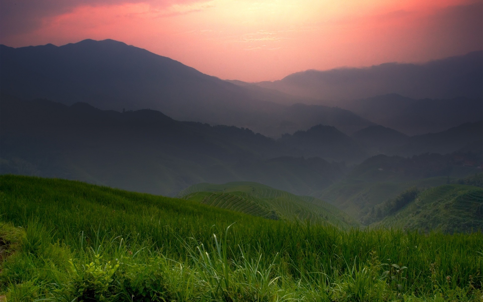 山 景观 山 自然 黎明 雾 日落 天空 草 旅游 户外 山 夏天 太阳 树 好天气