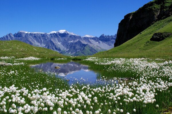 Berglandschaft auf See und Blumen Hintergrund