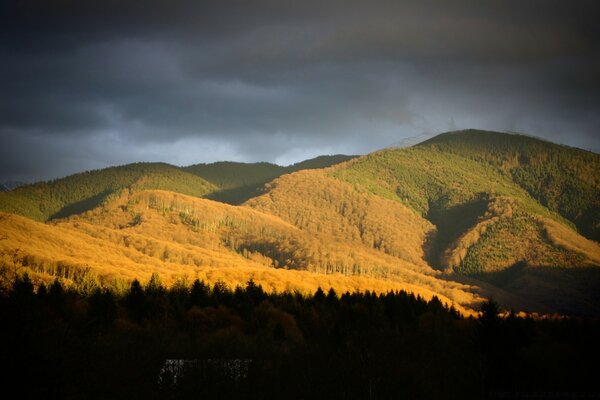 The sun lit up the mountains with yellow light