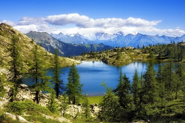 Intorno al lago foresta di abeti rossi e montagne