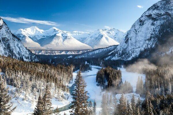 Засніжений гірський пейзаж з деревами