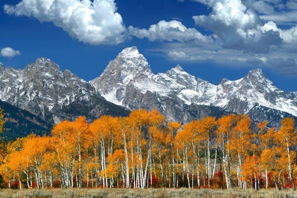 Golden autumn landscape in the mountains