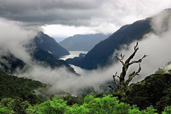 Cuerpo de agua entre las rocas verdes envueltos en neblina