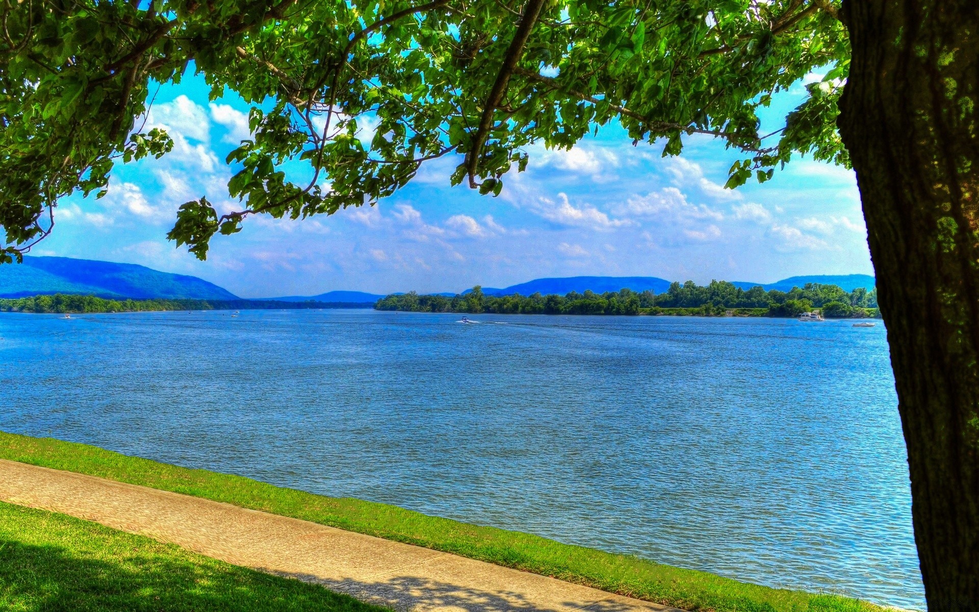 flüsse teiche und bäche teiche und bäche wasser landschaft baum natur sommer reisen see im freien himmel holz landschaftlich strand idylle gutes wetter sonne