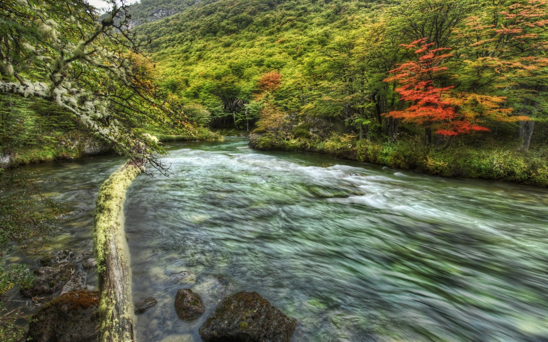 fiumi stagni e torrenti stagni e torrenti acqua fiume flusso natura paesaggio cascata legno flusso roccia viaggi albero muschio ambiente all aperto creek scenico cascata pietra foglia