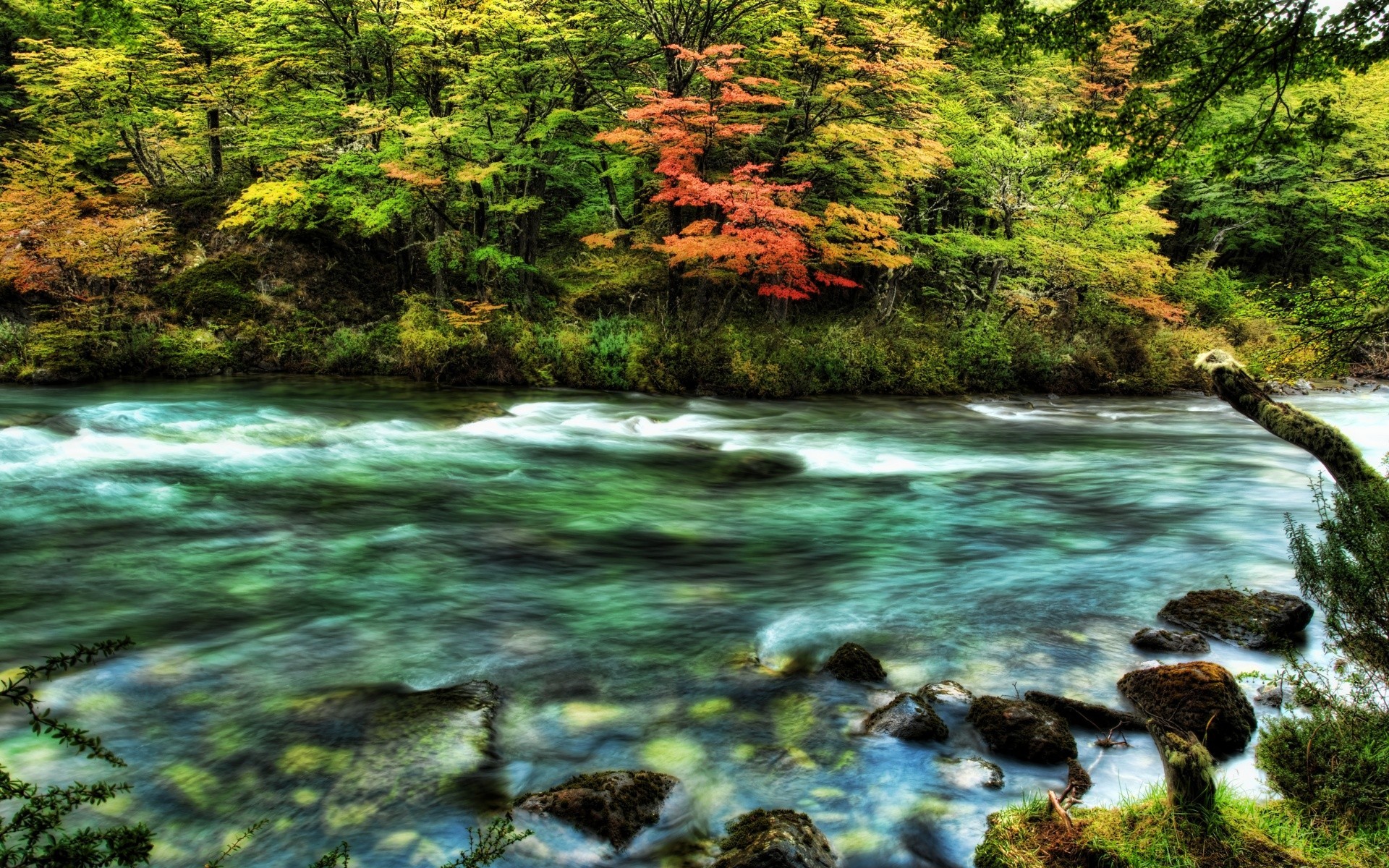 fiumi stagni e torrenti stagni e torrenti acqua natura legno flusso fiume paesaggio albero roccia viaggi cascata foglia autunno creek all aperto flusso scenico cascata bellissimo paesaggio