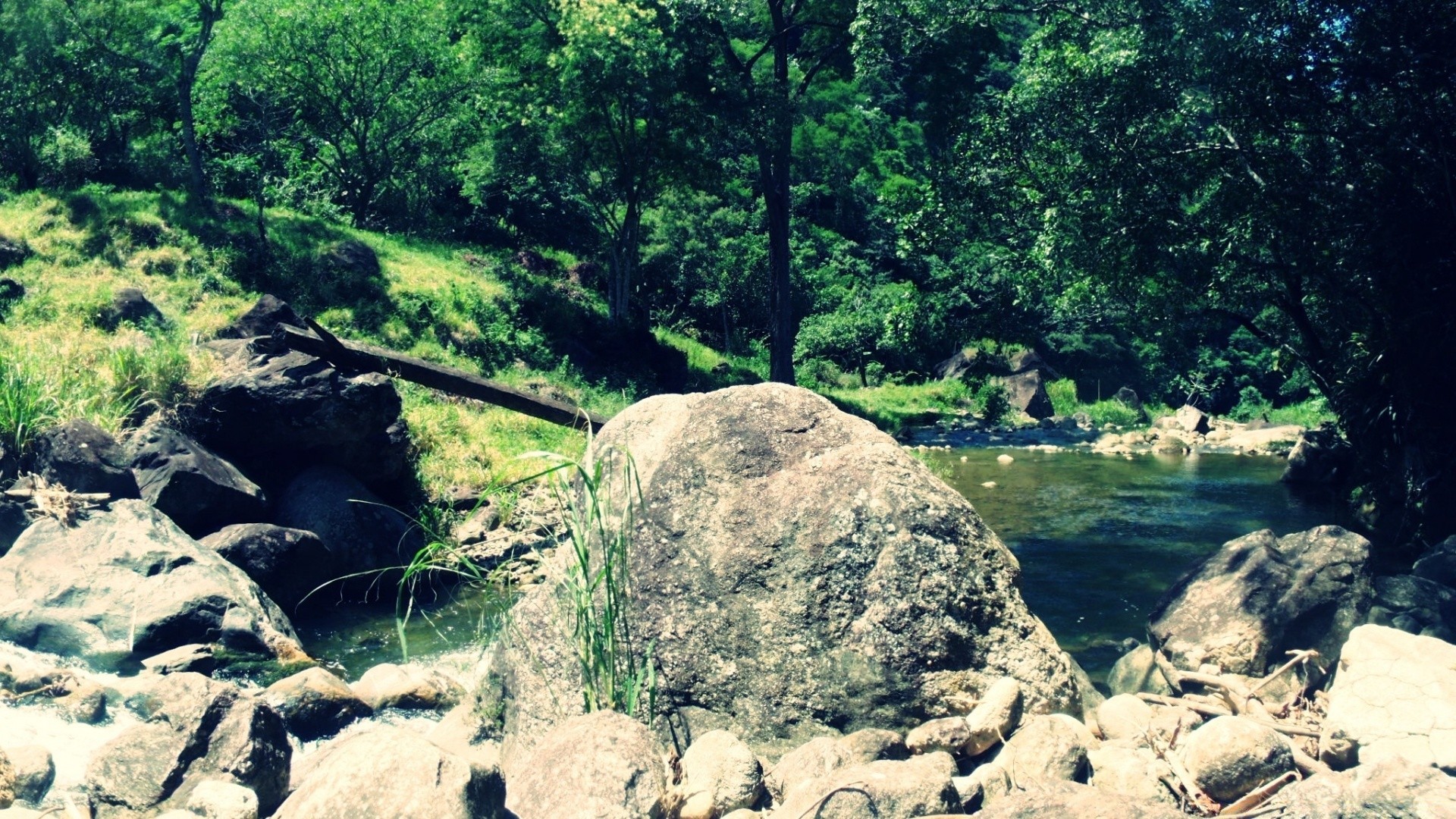 rivers ponds and streams water nature landscape rock tree river travel wood outdoors summer scenic mountain beautiful park stone stream sight environment grass tourism