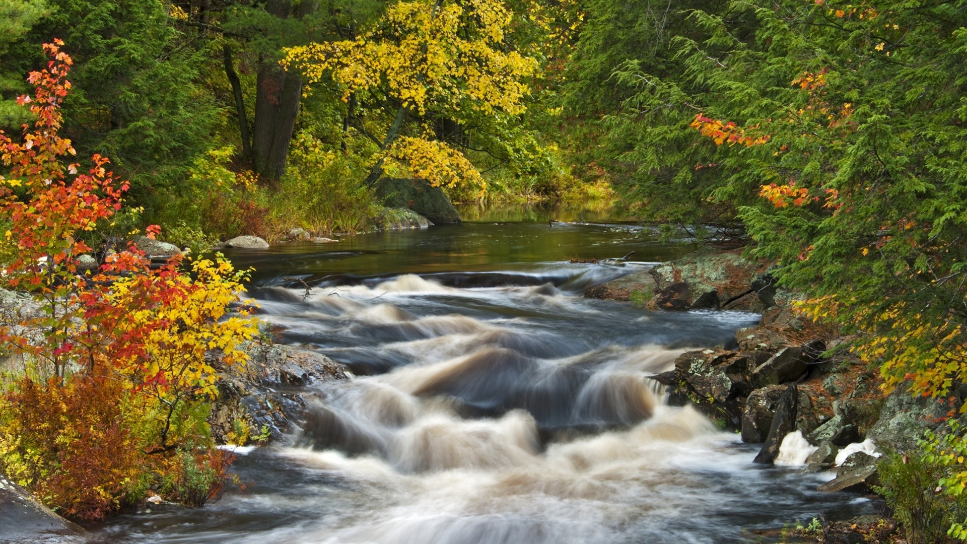 rivers ponds and streams fall water leaf stream river nature outdoors rapids waterfall wood landscape tree creek scenic flow park maple lush travel