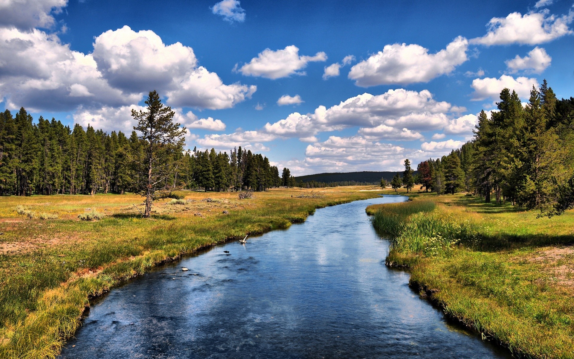 rivers ponds and streams water nature landscape outdoors lake river wood tree reflection grass sky travel summer