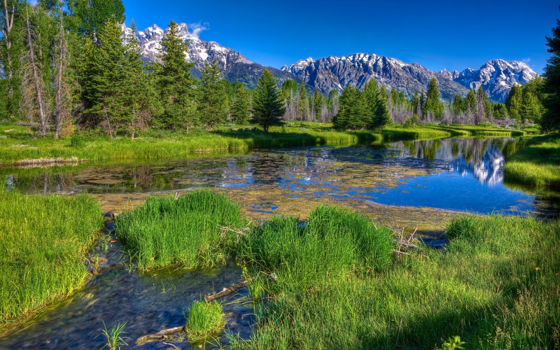 rivers ponds and streams lake water reflection nature landscape wood scenic outdoors mountain travel river sky pool tree daylight grass summer wild scenery