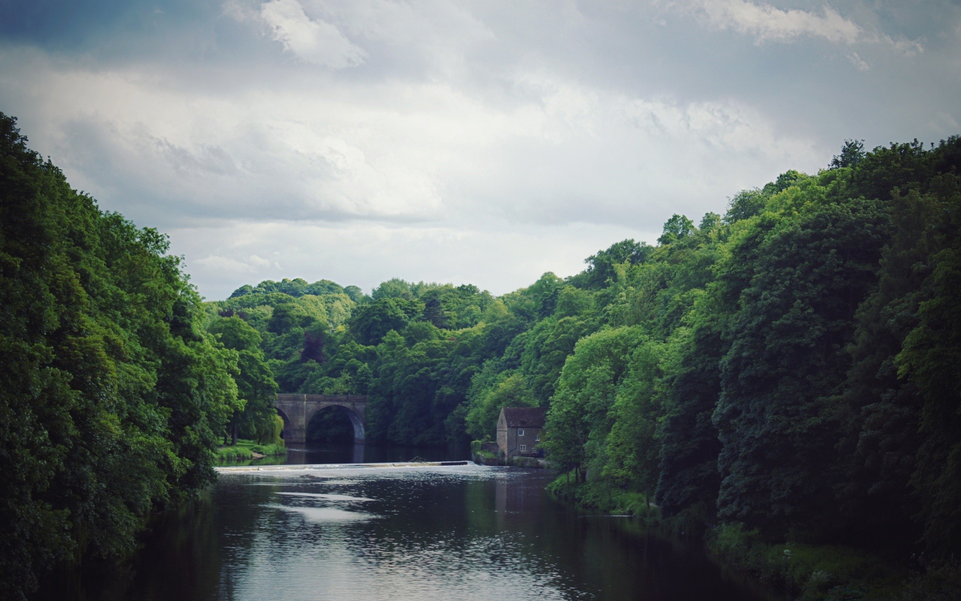 rivers ponds and streams water river tree nature wood travel landscape outdoors rainforest lake sky daylight mountain fog summer environment rain