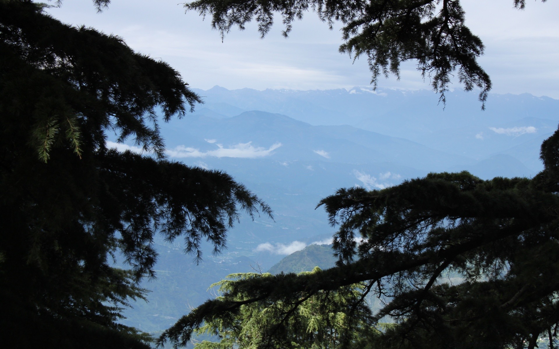 montagna albero paesaggio natura all aperto conifere cielo ambiente legno luce del giorno evergreen viaggi luce alba illuminato parco montagna nebbia sole scenic