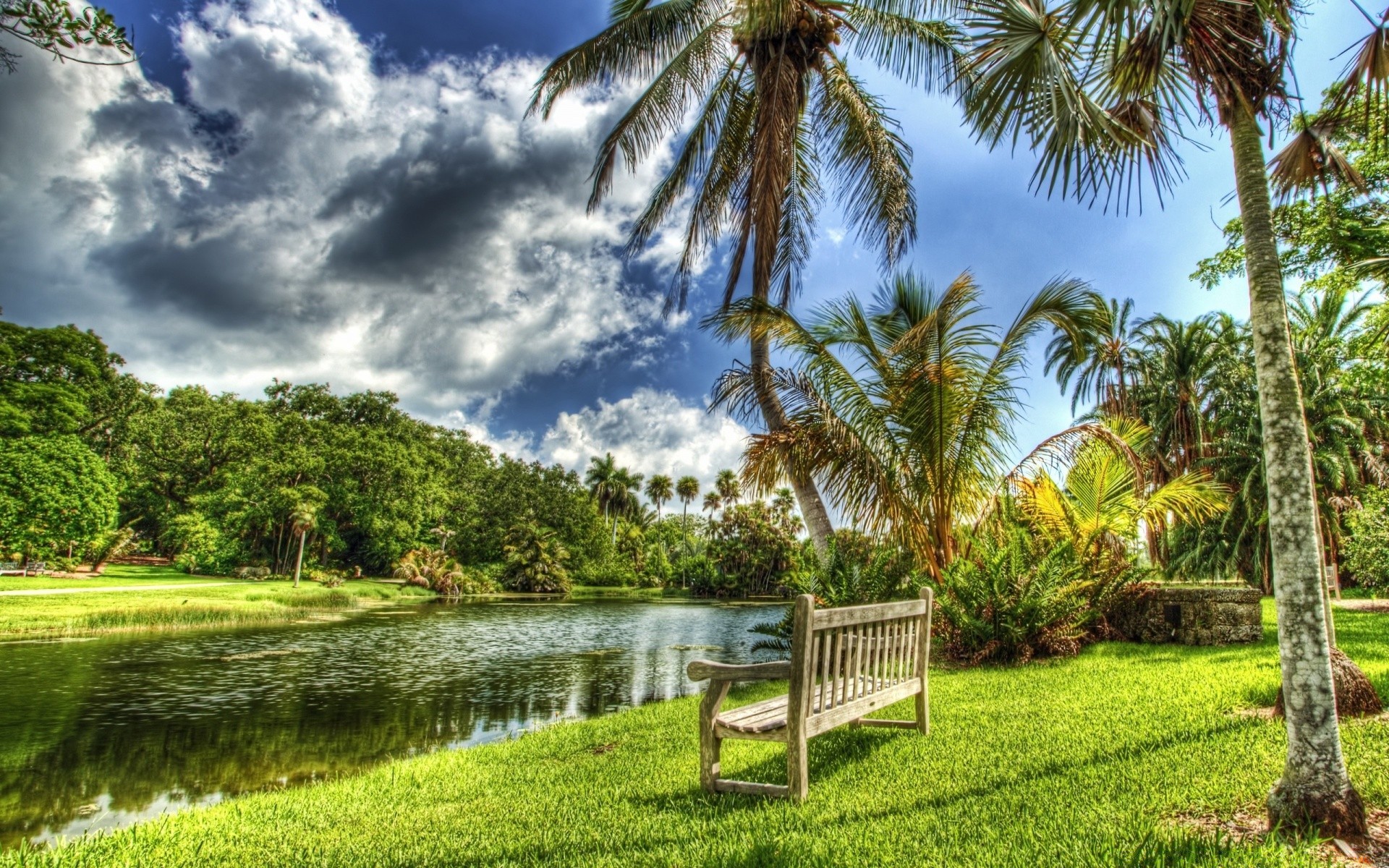 flüsse teiche und bäche teiche und bäche baum palmen tropisch sommer natur gras wasser garten reisen himmel im freien landschaft flora idylle schön park rasen