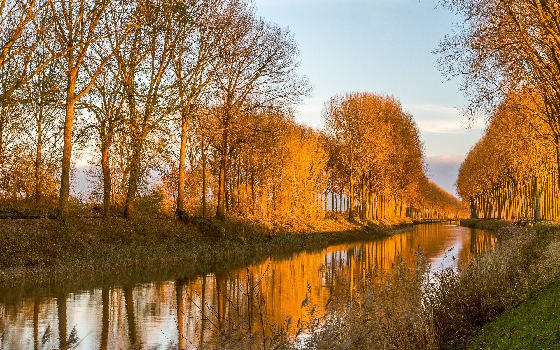 rivières étangs et ruisseaux étangs et ruisseaux automne arbre bois paysage nature réflexion saison eau lac aube rivière feuille à l extérieur parc pittoresque beau temps hiver rural campagne