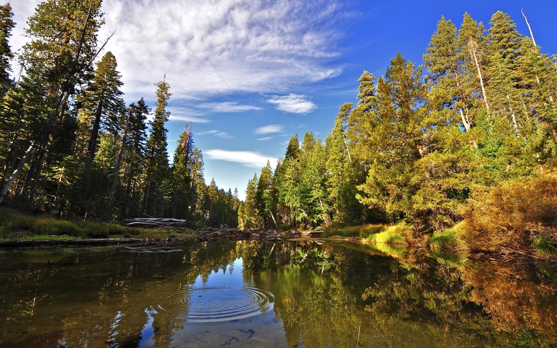 flüsse teiche und bäche teiche und bäche natur wasser holz holz im freien see landschaft landschaftlich fluss herbst reisen tageslicht himmel berge reflexion park nadelbäume wild gutes wetter