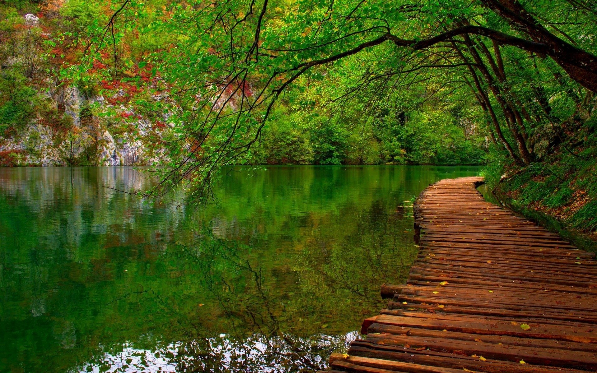 rzeki stawy i strumienie stawy i strumienie drewno drzewo liść natura krajobraz park woda jesień na zewnątrz rzeka sceniczny sezon przewodnik środowisko lato ogród światło dobra pogoda jezioro