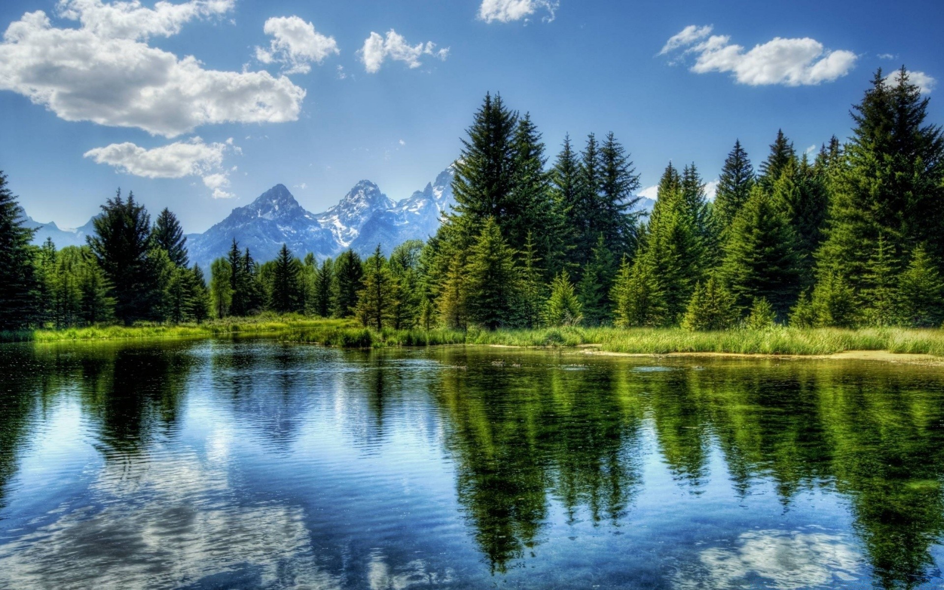 flüsse teiche und bäche teiche und bäche see wasser natur reflexion im freien holz landschaft gelassenheit baum landschaftlich himmel plesid sommer