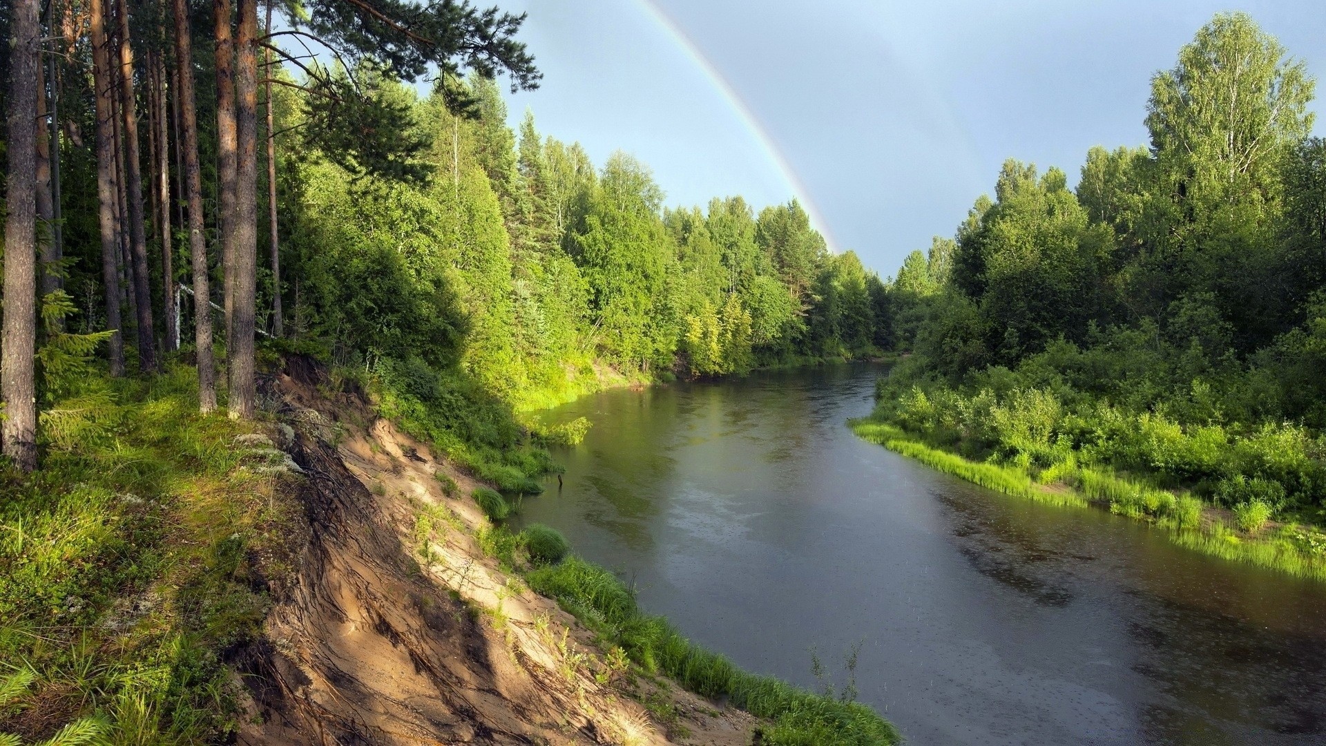 fiumi stagni e torrenti stagni e torrenti paesaggio acqua natura legno albero fiume all aperto scenico viaggi estate ambiente cielo lago parco riflessione erba luce del giorno