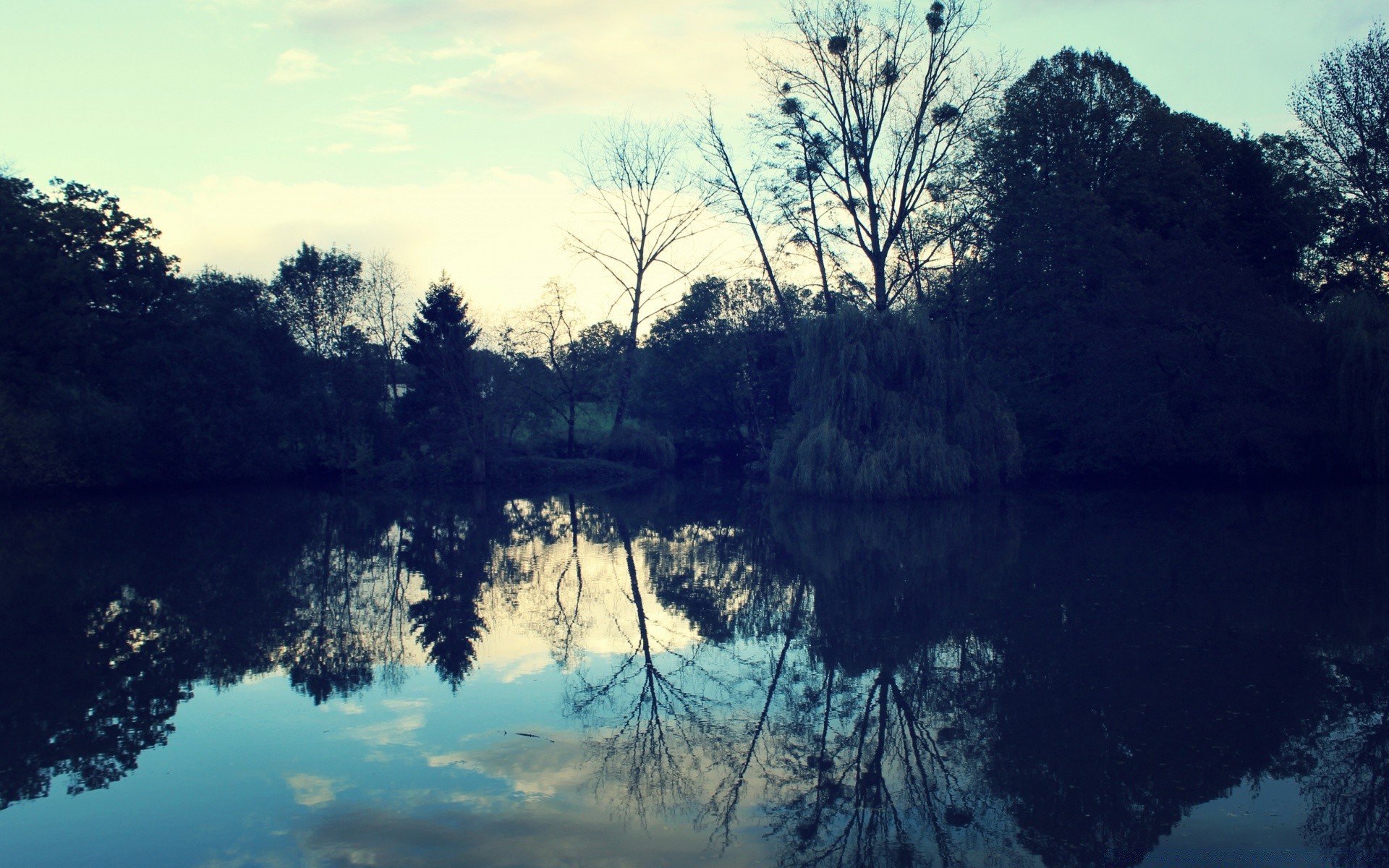 rivers ponds and streams tree landscape water reflection nature lake river outdoors scenic wood park sky fog light weather environment dawn