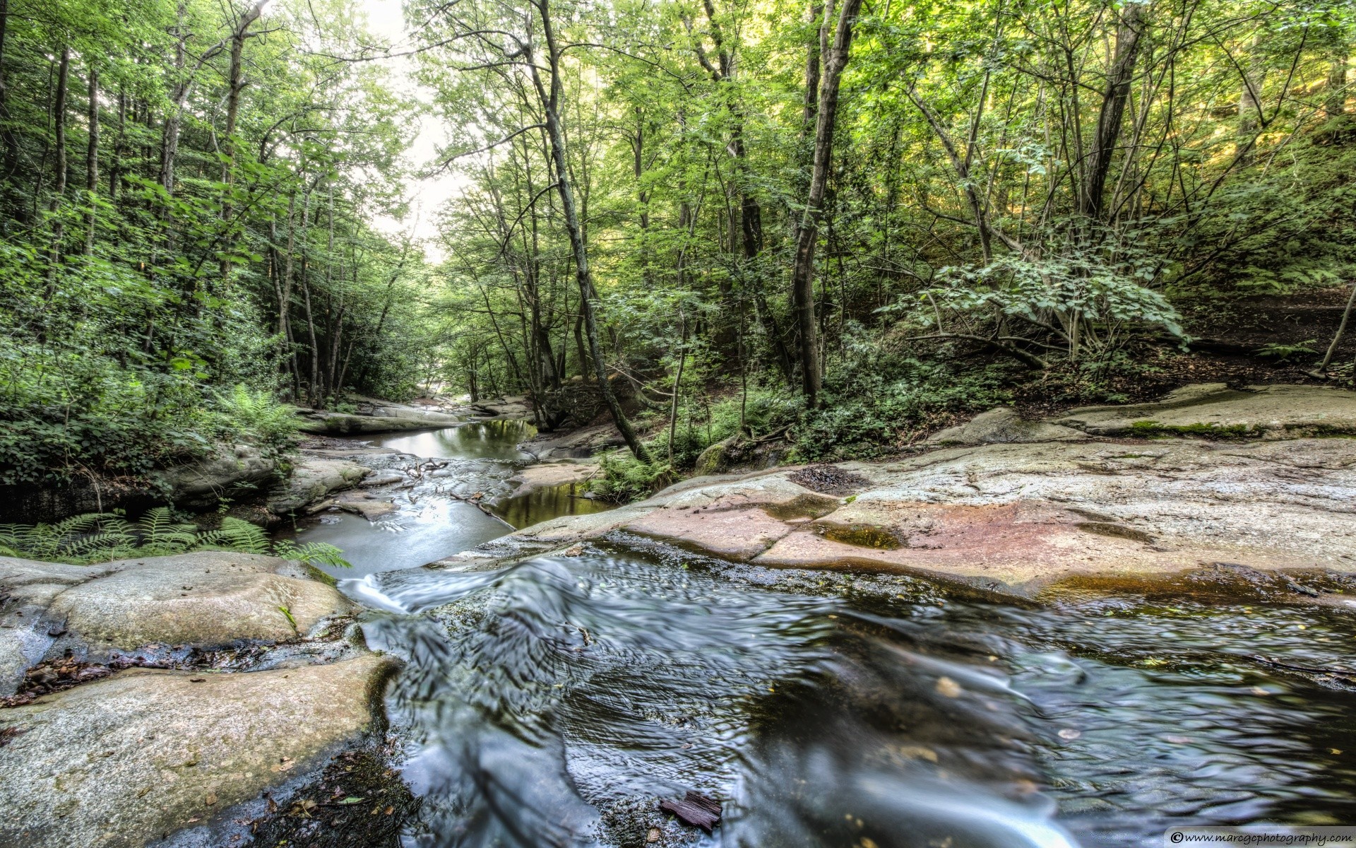 rivières étangs et ruisseaux étangs et ruisseaux eau nature rivière ruisseau bois paysage ruisseau sauvage ruisseau arbre feuille environnement cascade voyage mousse à l extérieur parc automne belle pierre