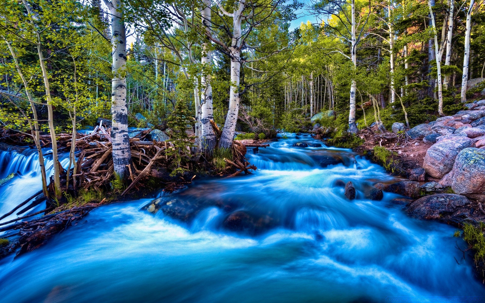 flüsse teiche und bäche teiche und bäche wasser holz natur fluss fluss landschaft wasserfall schrei blatt im freien holz rock reisen wild kaskade sauberkeit nass umwelt landschaftlich