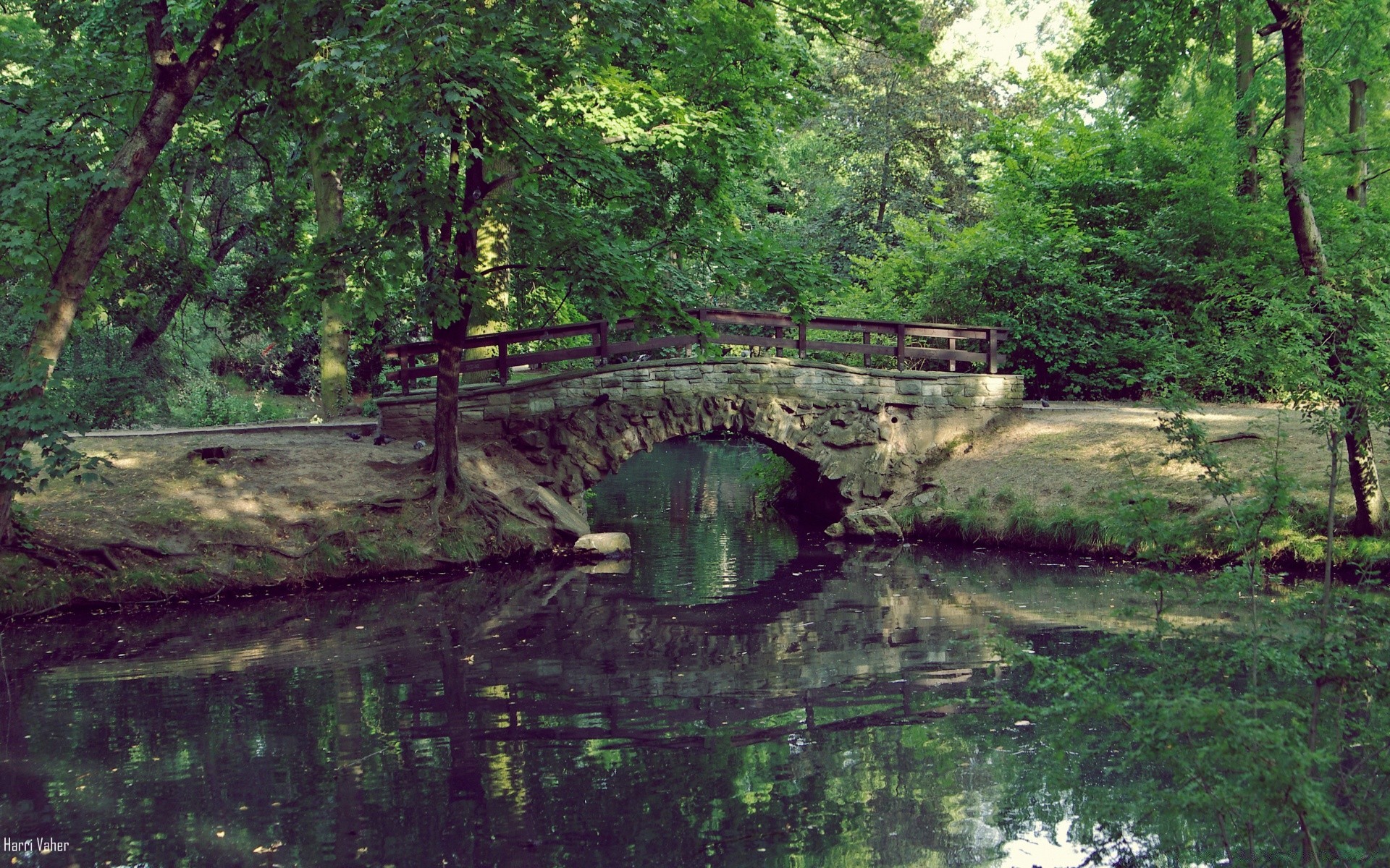 ríos estanques y arroyos estanques y arroyos agua naturaleza río madera puente paisaje árbol hoja viajes piscina reflexión parque verano corriente medio ambiente al aire libre lago flora piedra