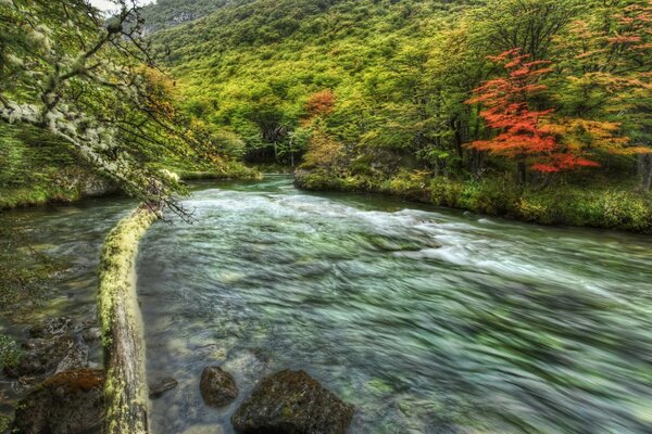 清澈的水沿着一条高山快速的河流流动