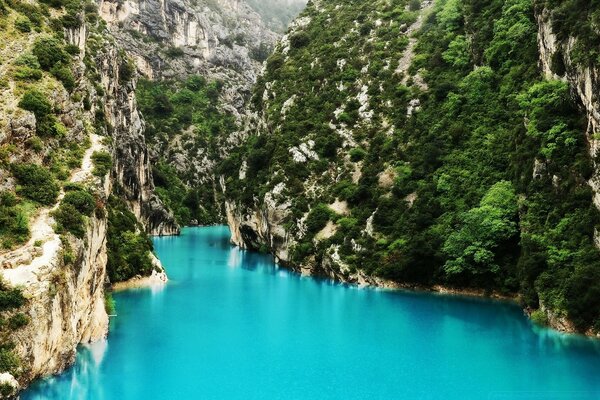 Agua turquesa entre rocas verdes