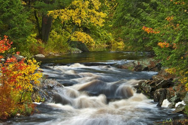 The dark water of the stream feeds down