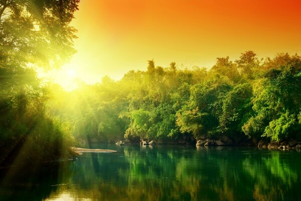 Пишні зелені ліси Річка на світанку