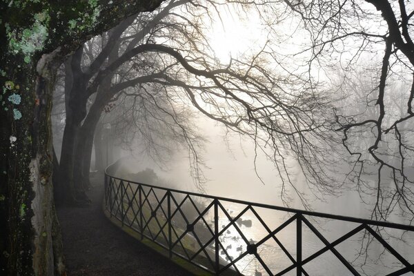 View from the bridge to the misty lake