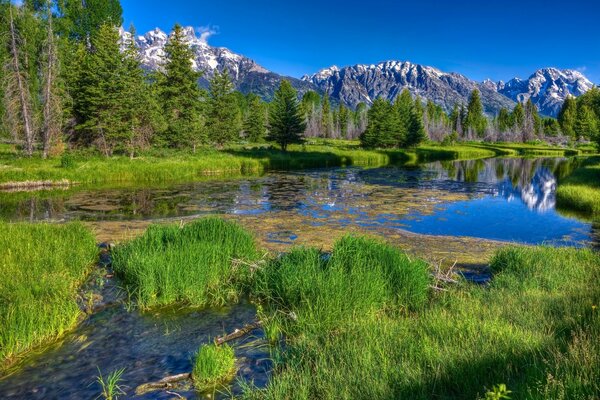 The river is swampy and pond