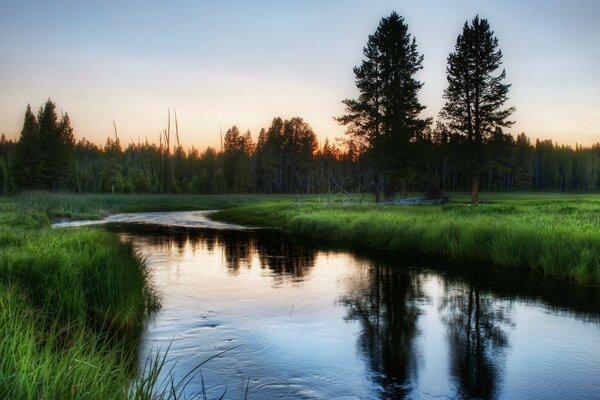 A small river in the midst of green meadows