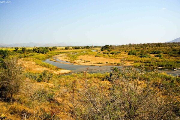 Um pequeno lago entre uma clareira amarela