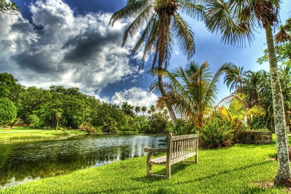 Es ist gut, auf einer Bank am Teich zu sitzen