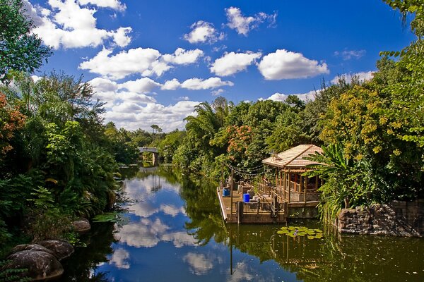 Um lago de conto de fadas cercado por uma floresta verde