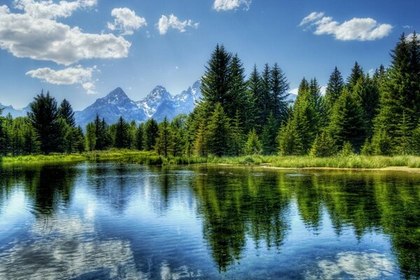 Reflet de la forêt et des montagnes dans la surface du lac