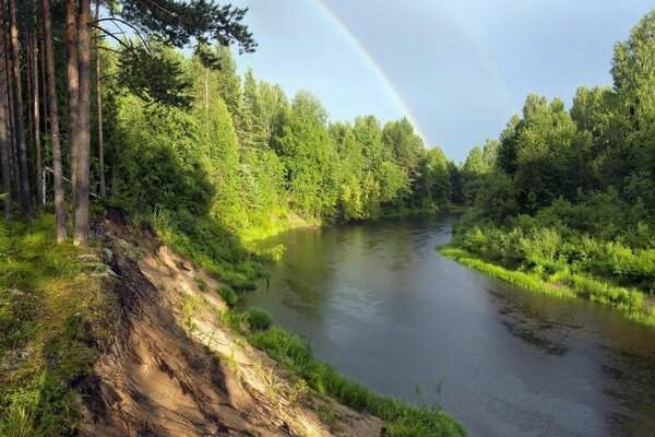 Curva del río en el bosque de verano