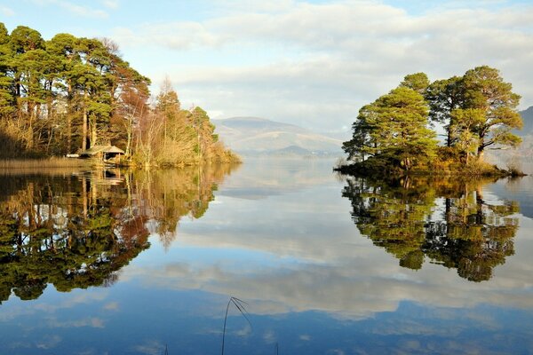 La naturaleza en el reflejo del río del bosque