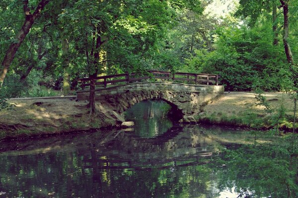 Ponte antiga sobre um rio em uma floresta verde