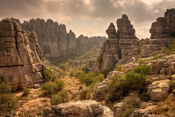 Las montañas están llenas de vida y sed de viaje