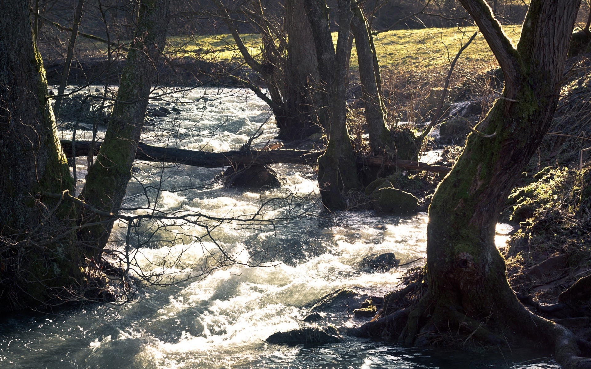 rzeki stawy i strumienie stawy i strumienie woda drewno drewno natura krajobraz na zewnątrz jesień rzeka podróż środowisko liść park strumień sceniczny