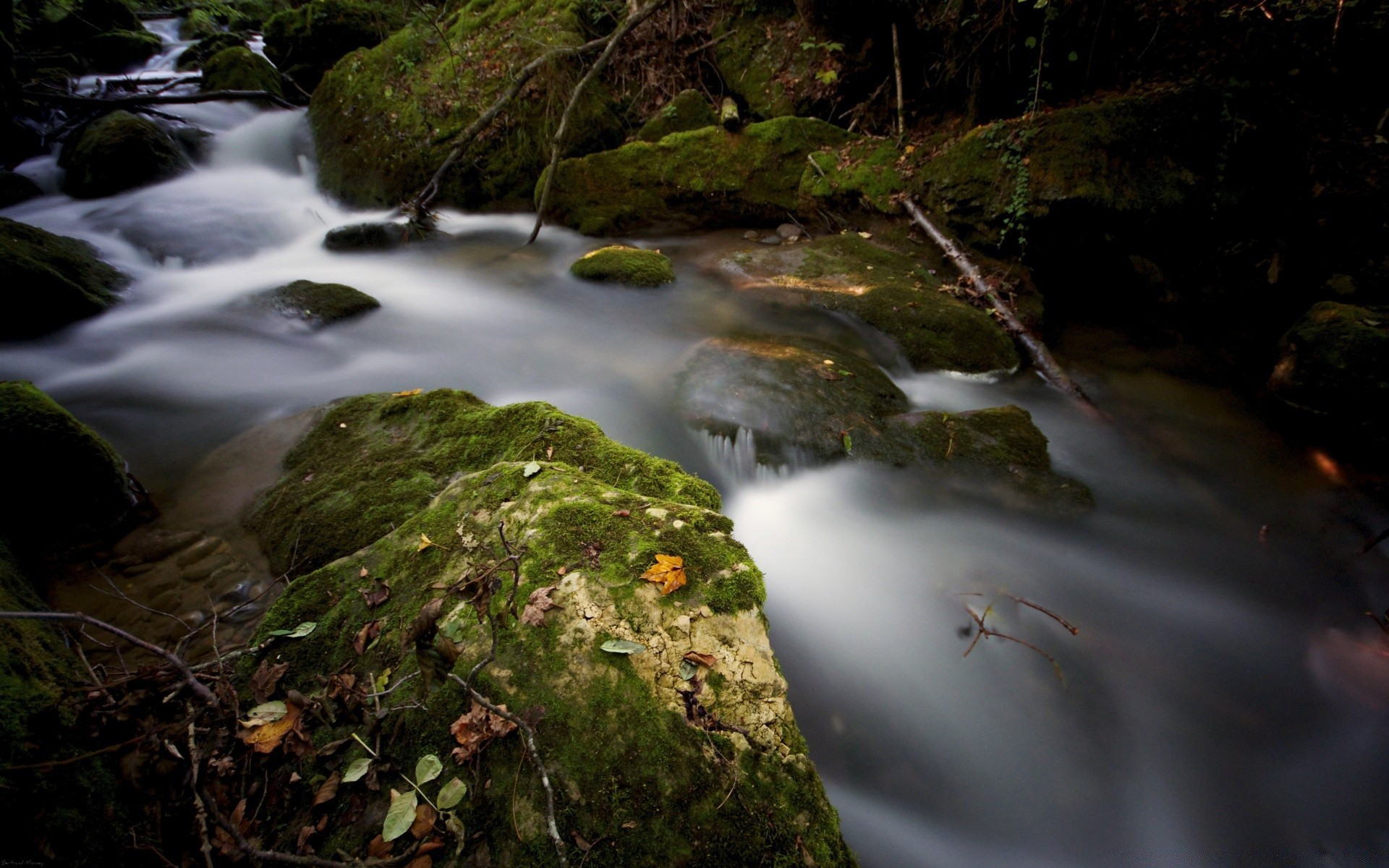 flüsse teiche und bäche teiche und bäche wasserfall wasser fluss fluss moos fotografie herbst schrei rock landschaft kaskade holz bewegung baum natur park fluss blatt im freien