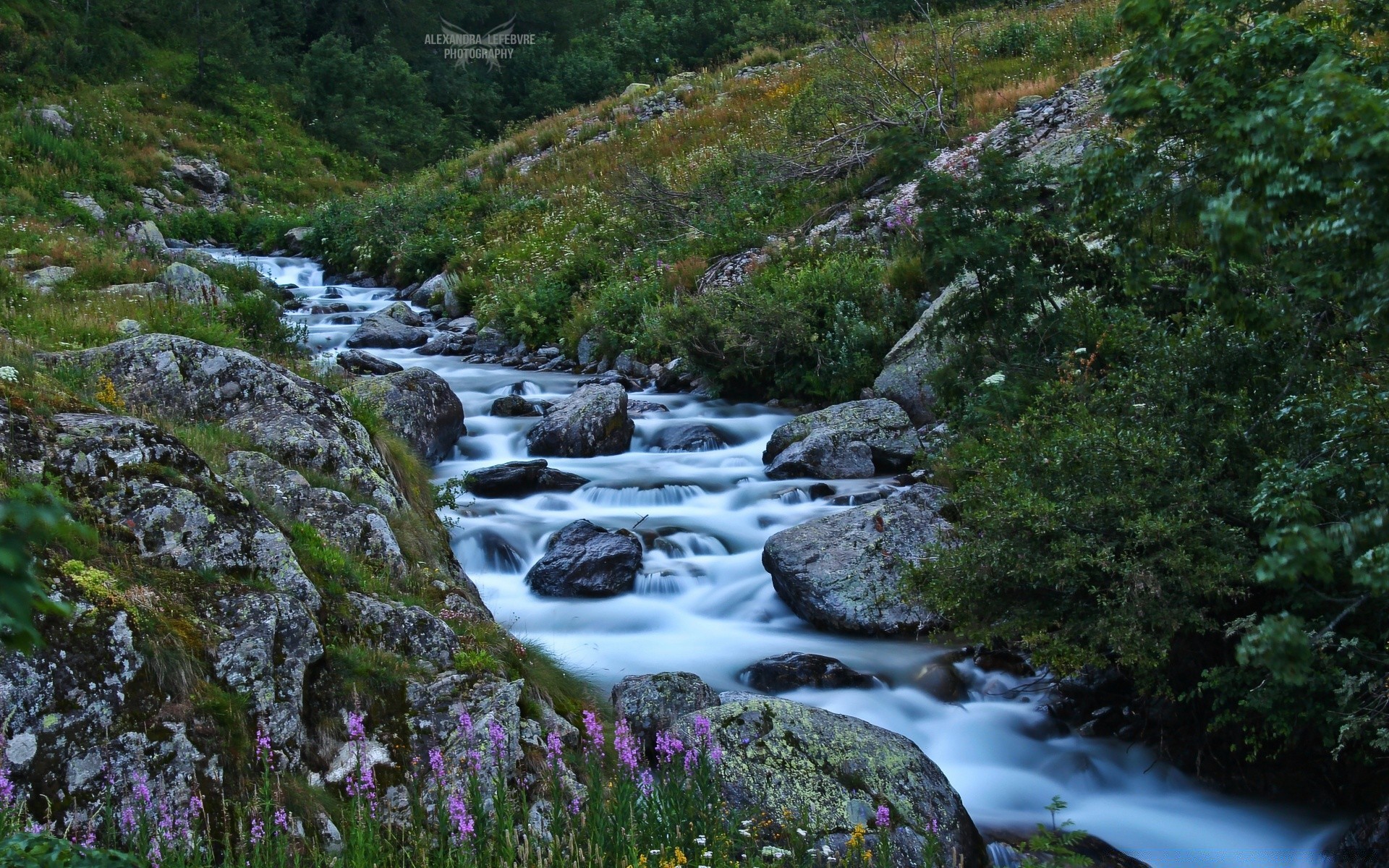 rivers ponds and streams stream water river waterfall rock nature landscape flow cascade travel outdoors moss wood mountain wild scenic creek motion rapids