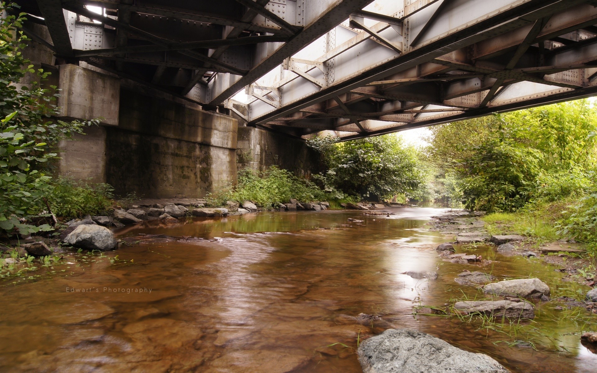 rivières étangs et ruisseaux étangs et ruisseaux eau rivière nature bois pont flux voyage à l extérieur pierre environnement flux feuille paysage été rock