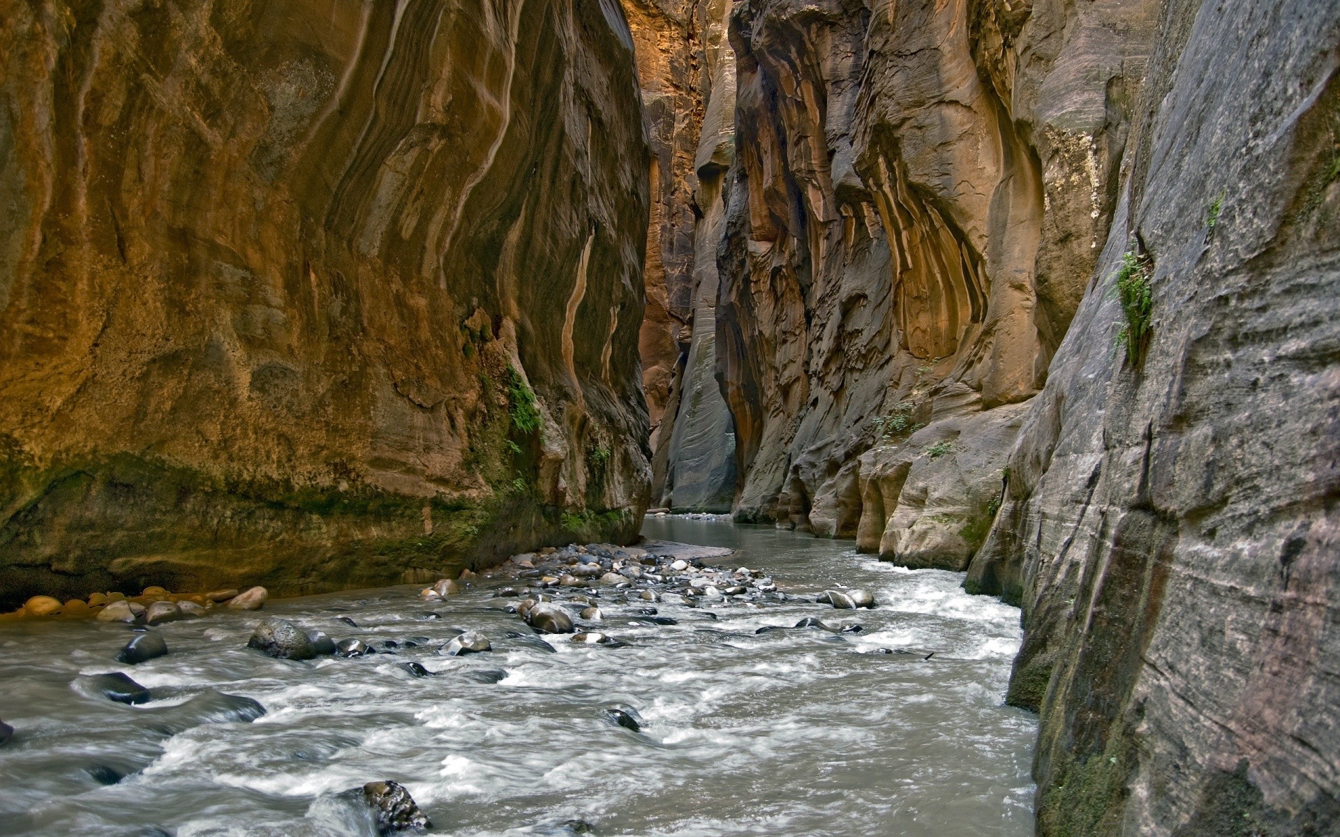 flüsse teiche und bäche teiche und bäche wasser natur im freien fluss wasserfall reisen rock fluss landschaft herbst berge holz landschaftlich reizvoll